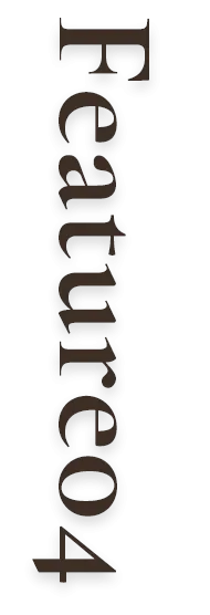 Feature04