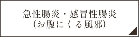急性腸炎・感冒性腸炎(お腹にくる風邪)